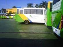 Bintan Dapat 3 Bus, Serikat Pekerja: Ongkosnya Harus Gratis